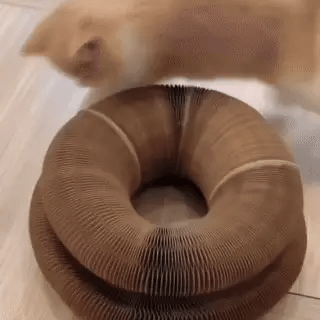 KittyNest™ – El lugar favorito de tu gato