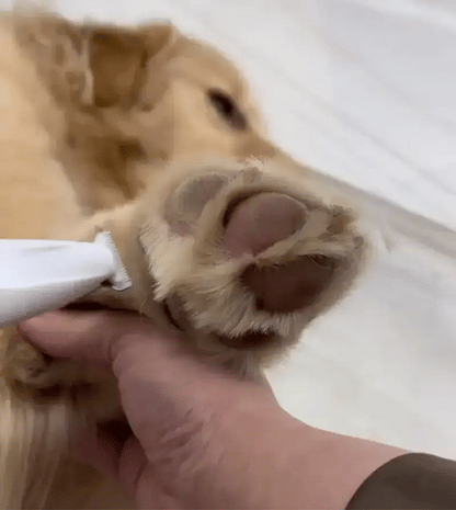 TrimPatas™ | Corte preciso para tu mascota