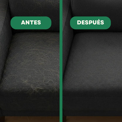 Peloff™ | Hogar limpio, mascotas felices